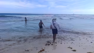 Guardavidas rescatan a dos bañistas arrastrados por corrientes en playas de Cancún