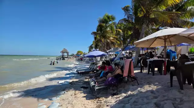 Toda la zona costera presenta una situación difícil, principalmente en el área de Chicxulub