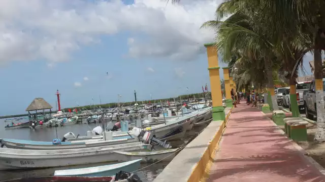 Sader declara a un sitio entre San Felipe y Dzilam de Bravo como Zona de Refugio Pesquero Temporal