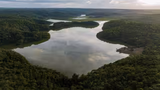 México y Guatemala unen fuerzas para proteger polinizadores en la Selva Maya de Campeche