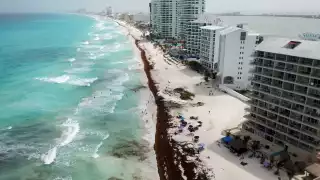 Estas son las playas más limpias de sargazo en Quintana Roo este 08 de junio