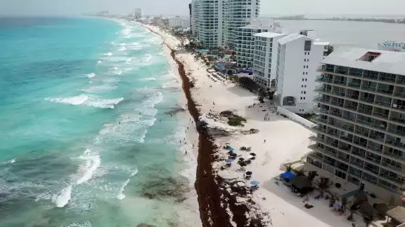 Durante el 2021, las playas de Cancún se cubrieron de sargazo, ante el recale masivo registrado durante su temporada