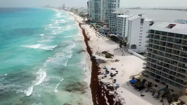 En Quintana Roo, la Riviera Maya es la más afectada, ya que entre los tres municipios que la conforman suman 30 playas con arribo de sargazo