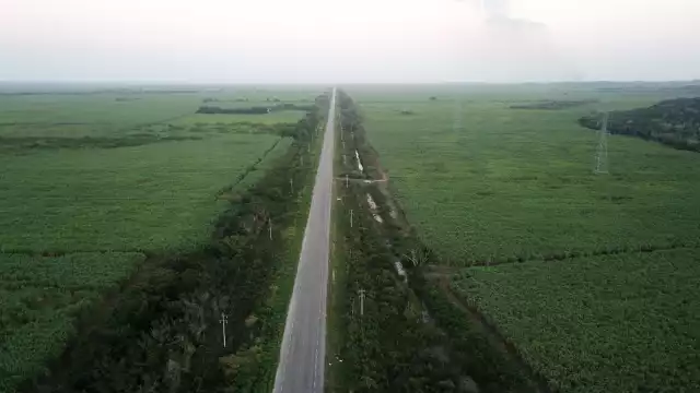 Fonatur aún no decide dónde quedará la parada del Tramo 7