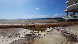 Playa del Carmen fue una de las ciudades más afectadas por el recale de sargazo durante el año pasado