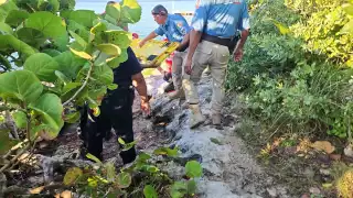 Testigos cuestionaron a los jóvenes por su conducta y recibieron insultos como respuesta; aunque llamaron a la Policía, los agresores huyeron antes.