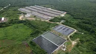 La población sufre a diario el impacto de una “nube de ácido sulfhídrico y de amoniaco”, que es transportada varios kilómetros a consecuencia de los vientos