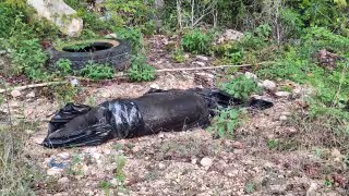 Cuerpo embolsado en carretera Valladolid-Felipe Carrillo Puerto moviliza a las autoridades