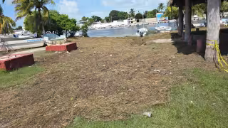 Hasta el día de ayer no había presencia de bañistas en el lugar, mientras se acumula la basura y afecta la imagen de la zona.