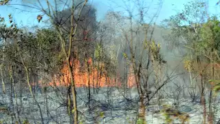 El incendio se originó este jueves en la carretera Mérida-Cancún