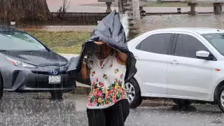 La lluvia intensa de 42 mm en dos horas provocó la caída de tres árboles y tres postes por reblandecimiento del suelo.