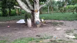 La mujer se ahorcó en un árbol que se encuentra en el patio de su casa