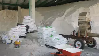 Productores de Celestún prevén escasez de sal para 2022