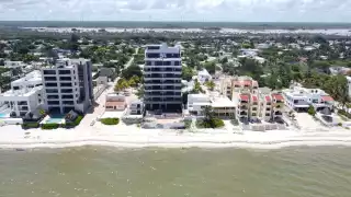 Pronatura informó que el mayor problema se observa en Celestún, El Cuyo y Holbox