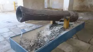 El cayó fue rescatado hace algunos años de la duna costera del puerto de Sisa