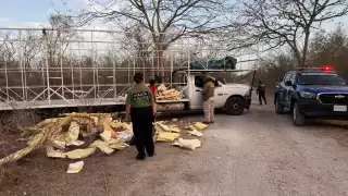Los dos hombres tiraban nieve seca que transportaban en un camión
