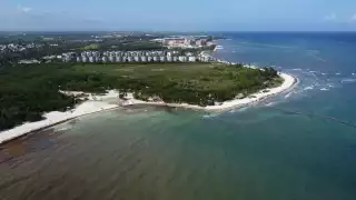 La compañía cumple después de 15 años de expectativas