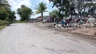 Residuos sólidos y numerosos zopilotes fueron detectados en la carretera estatal Ulumal–Felipe Carrillo Puerto, en Champotón.
