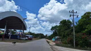 Serpiente ataca a joven habitante de la comunidad de Petcacab en Felipe Carrillo Puerto