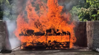 Destruyen 55 kilos de droga y armas ilegales en Campeche; evitan que 110 mil dosis lleguen a las calles