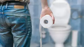 El 24 de julio de 2013 fue decretado el 19 de noviembre 'Día del Inodoro'