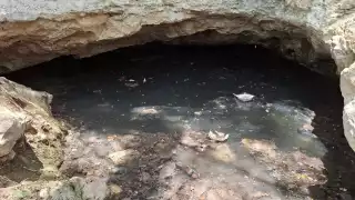 "De cristalino a foco de infección", denuncian que cenote en Pomuch es contaminado por empresas