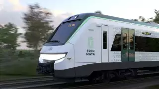 Las obras del Tramo 5 Sur del Tren Maya en Quintana Roo se frenaron en el pasado mes de mayo, luego de que el Juzgado Primero de Distrito en Yucatán dictara una suspensión sobre las mismas