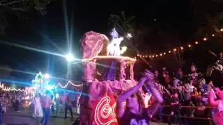 Disfruta en vivo del Carnaval de Mérida