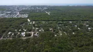 El suelo artificializado (compactado para área urbana) cuenta con una superficie de 19 mil 266 hectáreas