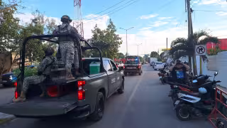 Reportan presunto robo en exinvernadero Chada Farms de Felipe Carrillo Puerto
