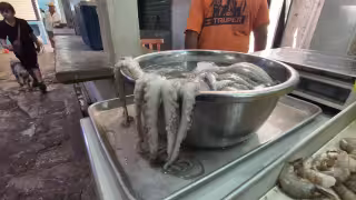 Pulpo fresco a 100 pesos y cocido a 220 en el mercado de Champotón