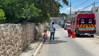 Paramédicos atienden a joven tras ataque de abejas