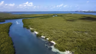 En el Día Mundial de los Humedales exponen las deficientes gestiones de autoridades para su cuidado