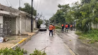 Postes de energía y telefonía caen tras intensa precipitación