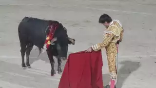 Corridas de toros en Campeche: Disputa entre la "tradición y el maltrato animal"