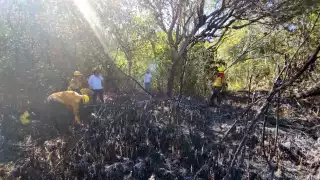 Fueron 60 hectáreas quemadas en el área del manglar de Campeche