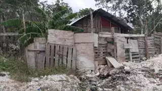 La contaminación del manto freático en Playa del Carmen podrían causar problemas de salud pública y ambiental, indica el biólogo