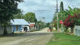 Según personal de la paraestatal, ramas de árboles y enredaderas rozaban el cableado lo que provocaba cortos circuitos y que se botaran cuchillas