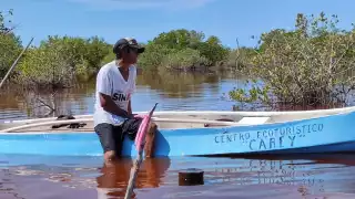 Fertilizantes y salinidad dañan más de 10 mil hectáreas de mangle en Atasta