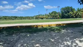 Sin preocuparse; Ladrones sustraen bicicleta de joven en Escárcega mientras se ejercitaba