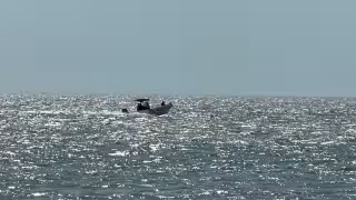 Localizan a dos jóvenes reportados como desaparecidos en manglares.