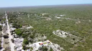 Moreno Gómez, titular de la Canadevi, dice que la actividad ilegal representa un crimen que daña la ecología