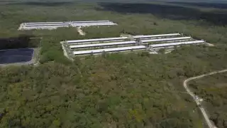 Un juez de Mérida atrasó el juicio para desestimar el amparo interpuesto por Kekén