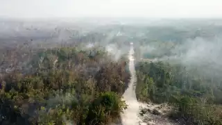 La Conafor recomendó a quienes salen de vacaciones a no dejar fogatas encendidas, o tirar colillas de cigarros para evitar más incendios forestales en Quintana Roo