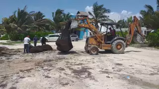 La cantidad de sargazo que recala en las costas de Quintana Roo supera al equipo de limpieza de la Semar y municipal