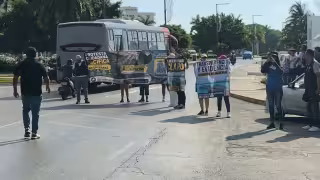 Bloquean la Zona Hotelera de Cancún para exigir reubicar a los delfines abandonados en el parque acuático