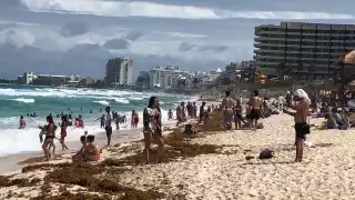 Pese al sargazo en la arena, las familias no dudaron en pasar un día en el arenal