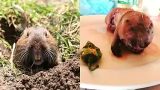 La tuza es un platillo que se cocina y come en Yucatán