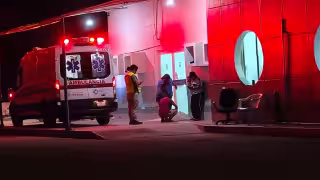 ¡Susto en Calkiní! Serpiente Holpoch muerde a menor de 15 años