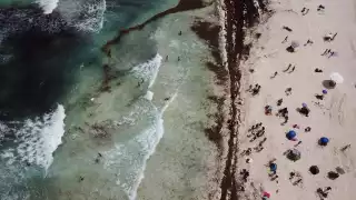 El sargazo ha sido un problema puntual para Quintana Roo, algo que no se ha podido controlar durante estos últimos dos meses
